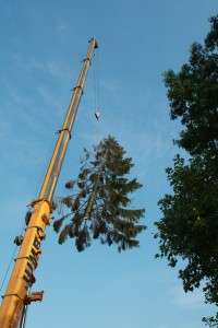 Baumfällung durch Marten-Teune in Bad Oeynhausen mit Kran