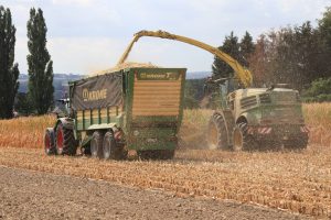 Maishäckseln - Ernte mit John Deere in OWL durch Marten & Teune
