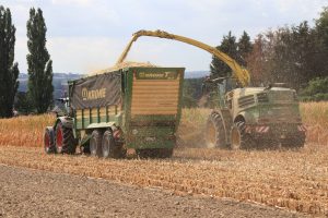 Maishäckseln - Ernte mit John Deere in OWL durch Marten & Teune